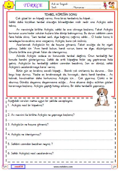 3. Sınıf Türkçe Okuma ve Anlama Metni (Tembel Köpeğin Sonu) Etkinliği