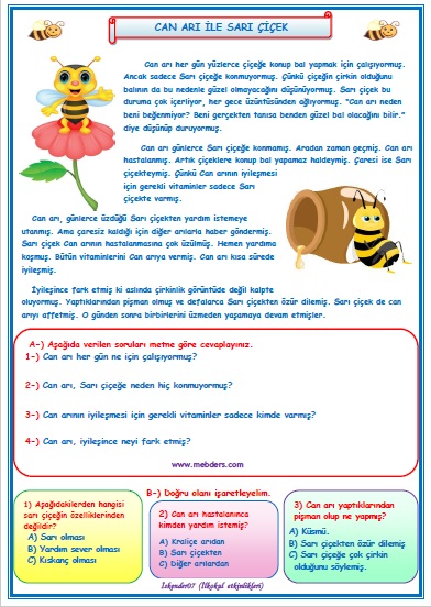 2.Sınıf Türkçe Can Arı ile Sarı Çiçek Okuma Anlama Metin Çalışması  29