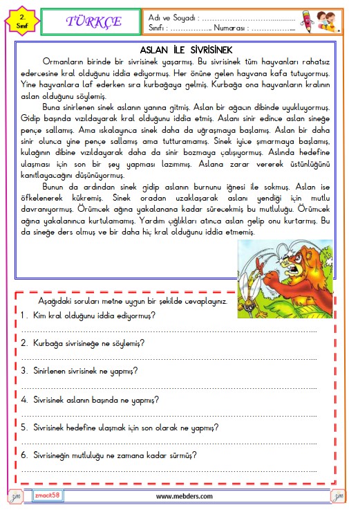 2. Sınıf Türkçe Okuma ve Anlama Metni Etkinliği (Aslan ile Sivrisinek) 5