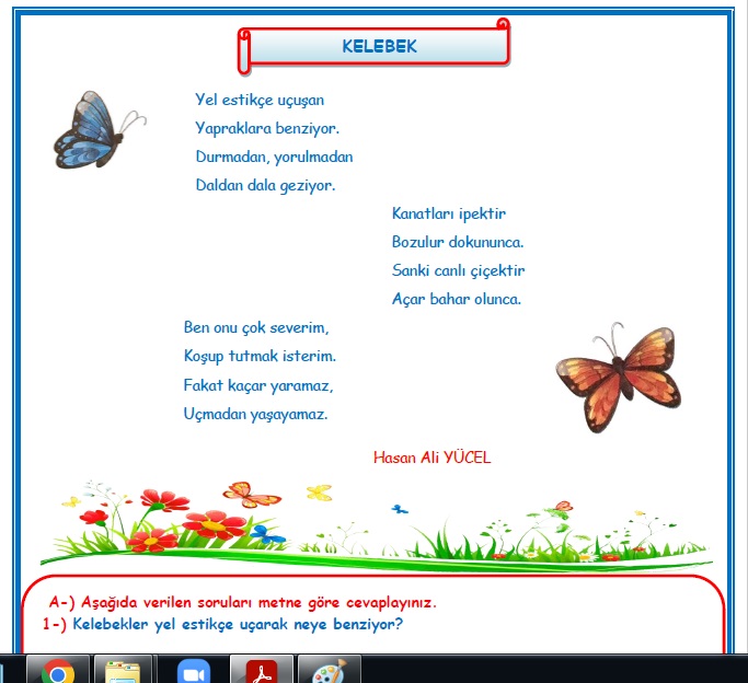 2.Sınıf Türkçe Kelebek Okuma Anlama Metin Çalışması