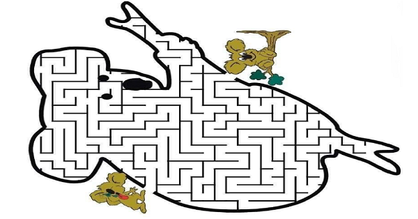 Seviye 2 - Labirent Bulmaca Etkinliği 30