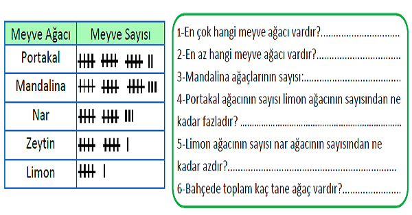 3.Sınıf Matematik Şekil ve Nesne Grafiği Çetele ve Sıklık Tablosu-2