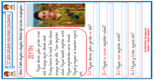 1. Sınıf İlk Okuma Yazma Z Sesi Okuma Anlama Çalışması