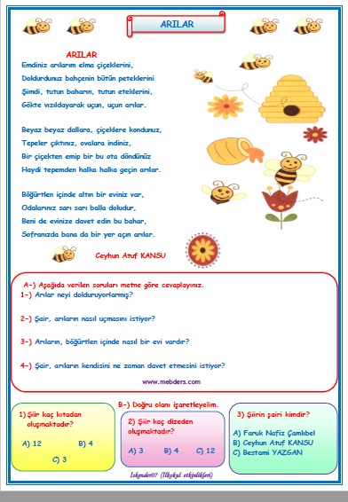 2.Sınıf Türkçe Arılar Okuma Anlama Metin Çalışması  20