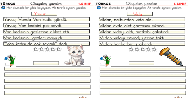 1. Sınıf İlk Okuma Yazma V Sesi Okuma Yazma Etkinliği (5 Sayfa)