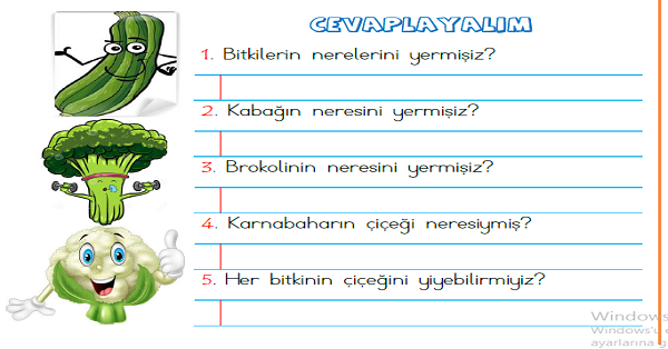 1.Sınıf Türkçe Okuyalım Anlayalım (Sebzeler) Metni