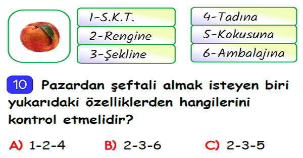 3.Sınıf Hayat Bilgisi Sağlıklı Hayat Ünite Değerlendirmesi-1