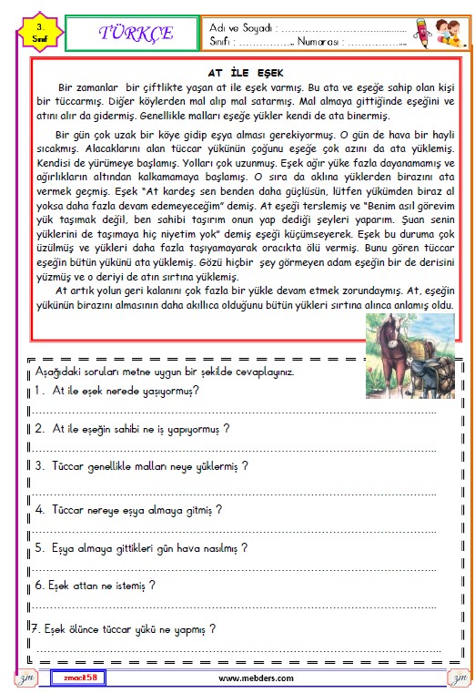 3. Sınıf Türkçe Okuma ve Anlama Etkinliği (At ile Eşek)