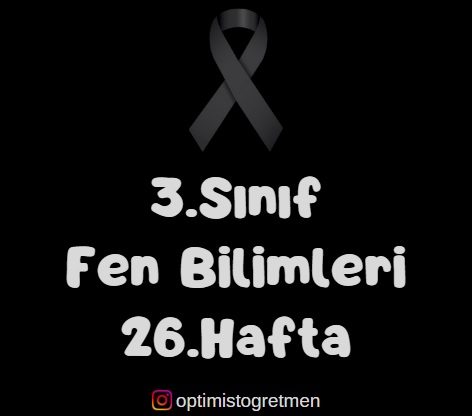 3. Sınıf Fen Bilimleri Çevremiz ve Çevremizin Temizliği Çalışma Kağıdı