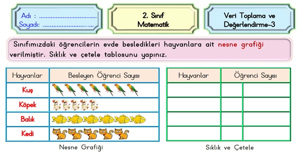 2.Sınıf Matematik Veri Toplama-3