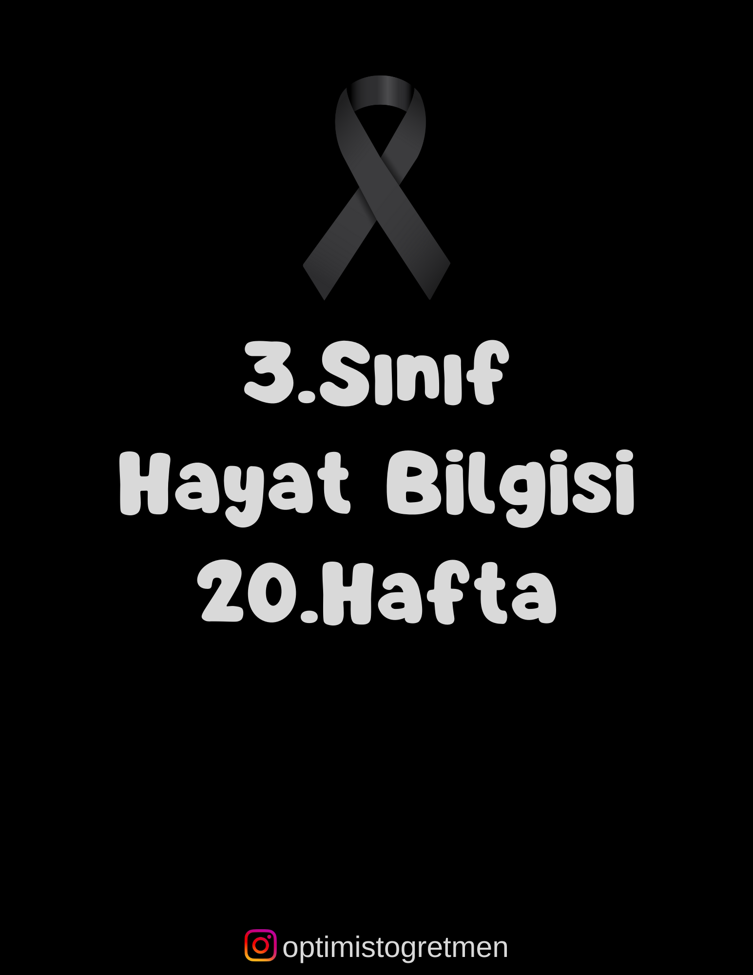 3. Sınıf Hayat Bilgisi Trafik Kurallarına Uyalım-Önlem Alalım Çalışma Kağıdı