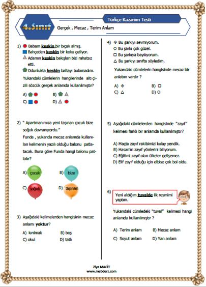 4.Sınıf Türkçe Gerçek , Mecaz ve Terim Anlam Kazanım Testi