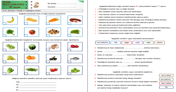 4.Sınıf Fen Bilimleri Besinlerin Tazeliği ve Doğallığının Önemi Etkinliği