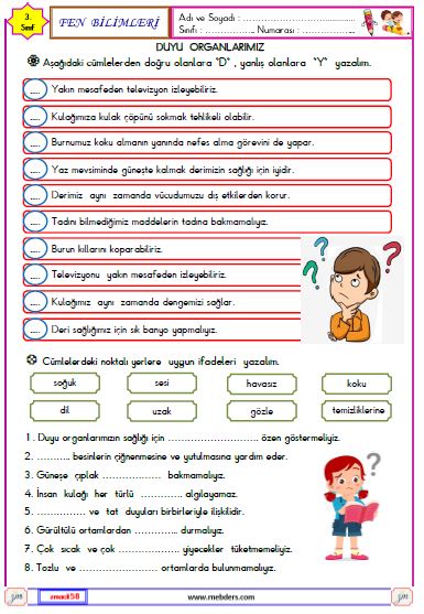 3. Sınıf Fen Bilimleri Duyu Organlarımız Etkinliği 4