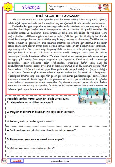 3. Sınıf Türkçe Okuma ve Anlama Metni Etkinliği (Şehri Merak Eden Hayvanlar)