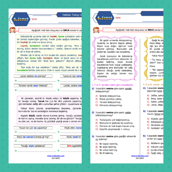 4. Sınıf Türkçe - 5N1K Etkinliği - 1