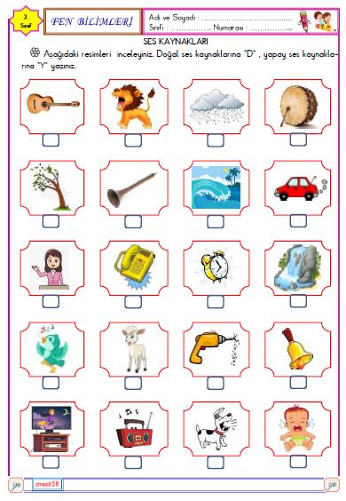 3. Sınıf Fen Bilimleri Ses Kaynakları Etkinliği 3