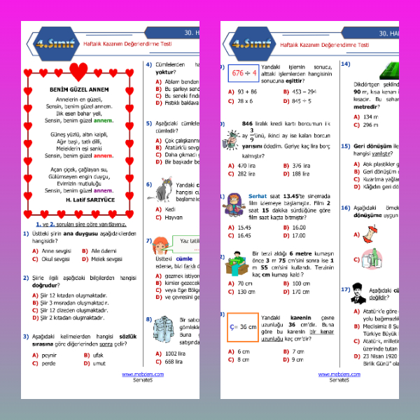 4. Sınıf Haftalık Değerlendirme Testi - 30. Hafta