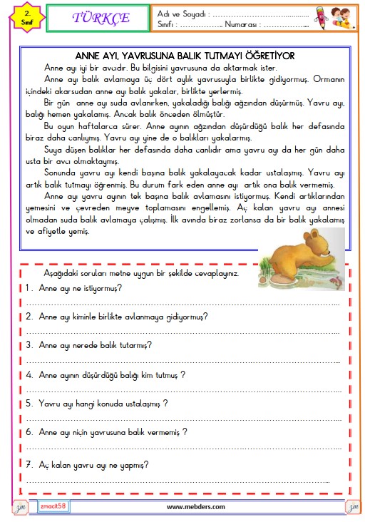 2. Sınıf Türkçe Okuma ve Anlama Metni Etkinliği (Anne Ayı Yavrusuna Balık Tutmayı Öğretiyor) 3