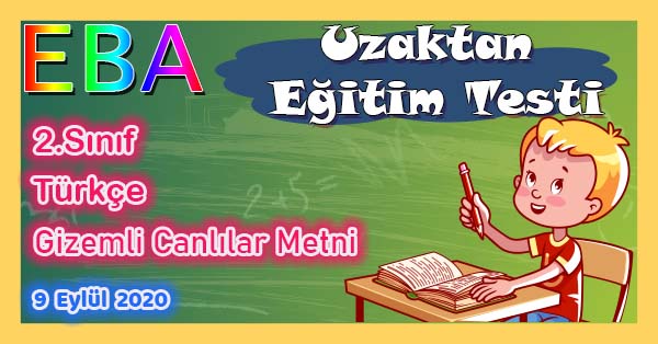 2.Sınıf Türkçe Gizemli Canlılar Metni Uzaktan Eğitim Testi pdf