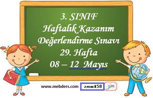 3. Sınıf Haftalık Kazanım Değerlendirme Testi 29. Hafta (08 - 12 Mayıs)