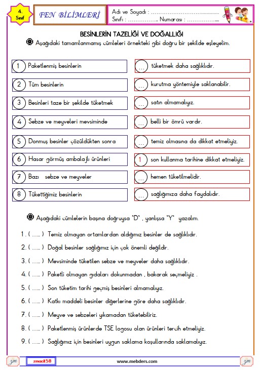 4. Sınıf Fen Bilimleri Besinlerin Tazeliği ve Doğallığı Etkinliği
