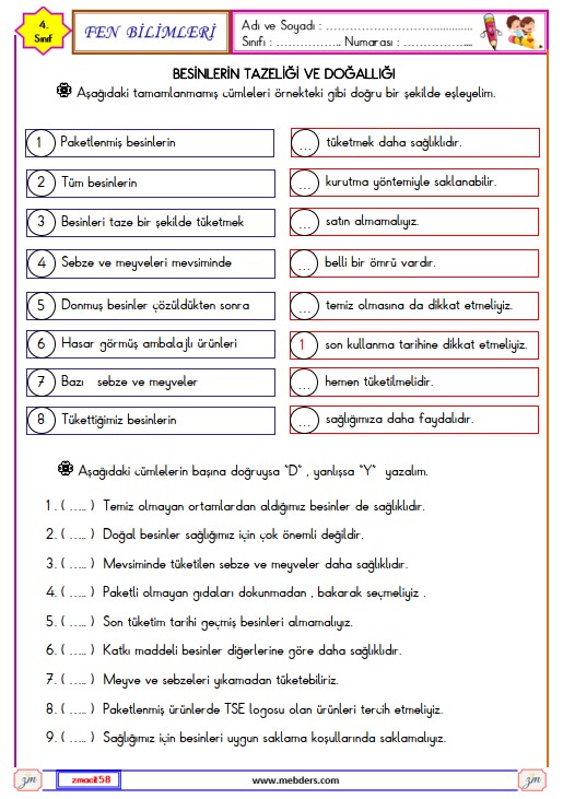 4. Sınıf Fen Bilimleri Besinlerin Tazeliği ve Doğallığı Etkinliği