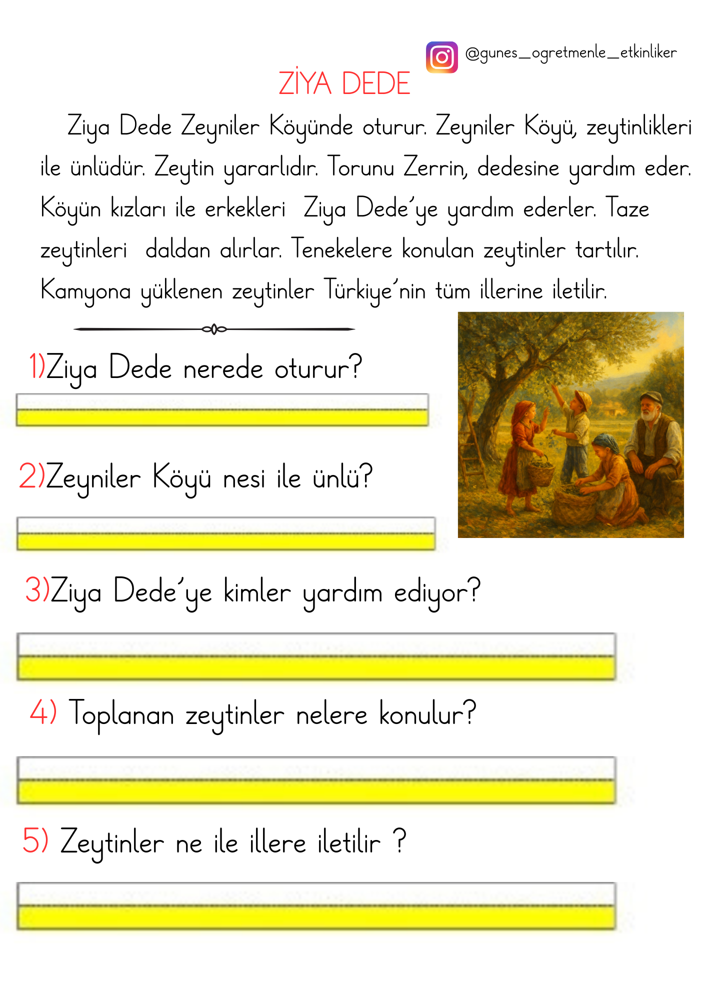 1.Sınıf Z Sesi Okuma Anlama Etkinlikleri