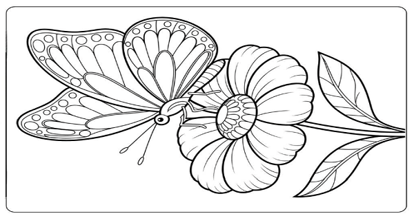 Boyama Çalışması (Kelebek ve Çiçek)