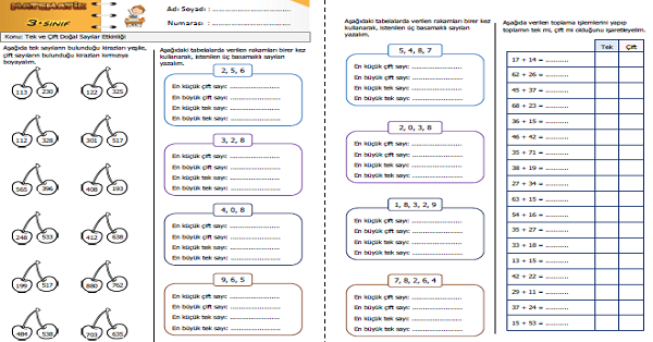 3.Sınıf Matematik Tek ve Çift Doğal Sayılar Etkinliği 3