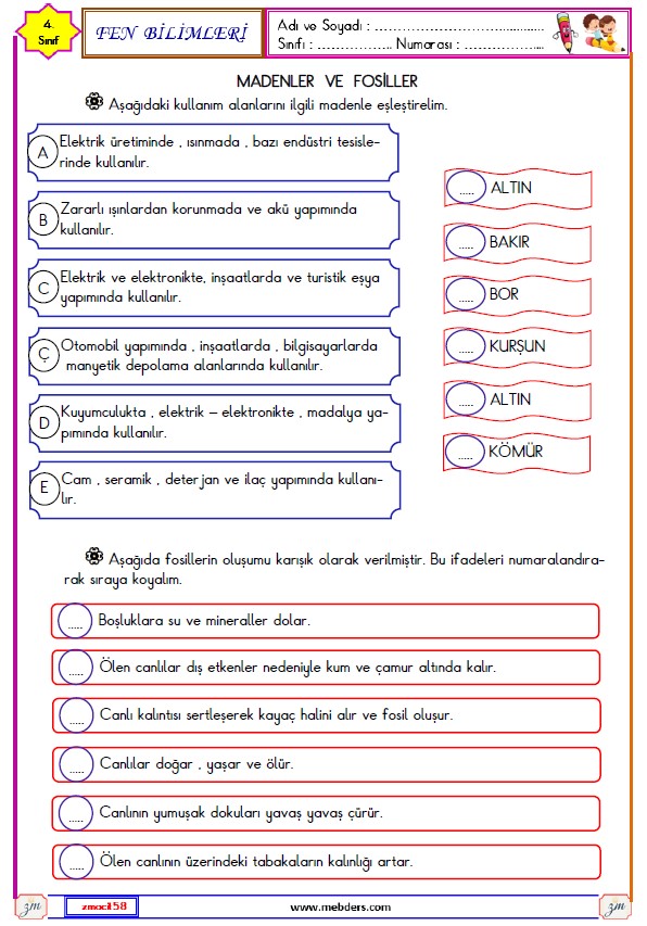 4. Sınıf Fen Bilimleri Madenler ve Fosiller Etkinliği 2