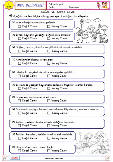 3. Sınıf Fen Bilimleri Doğal ve Yapay Çevre Etkinliği