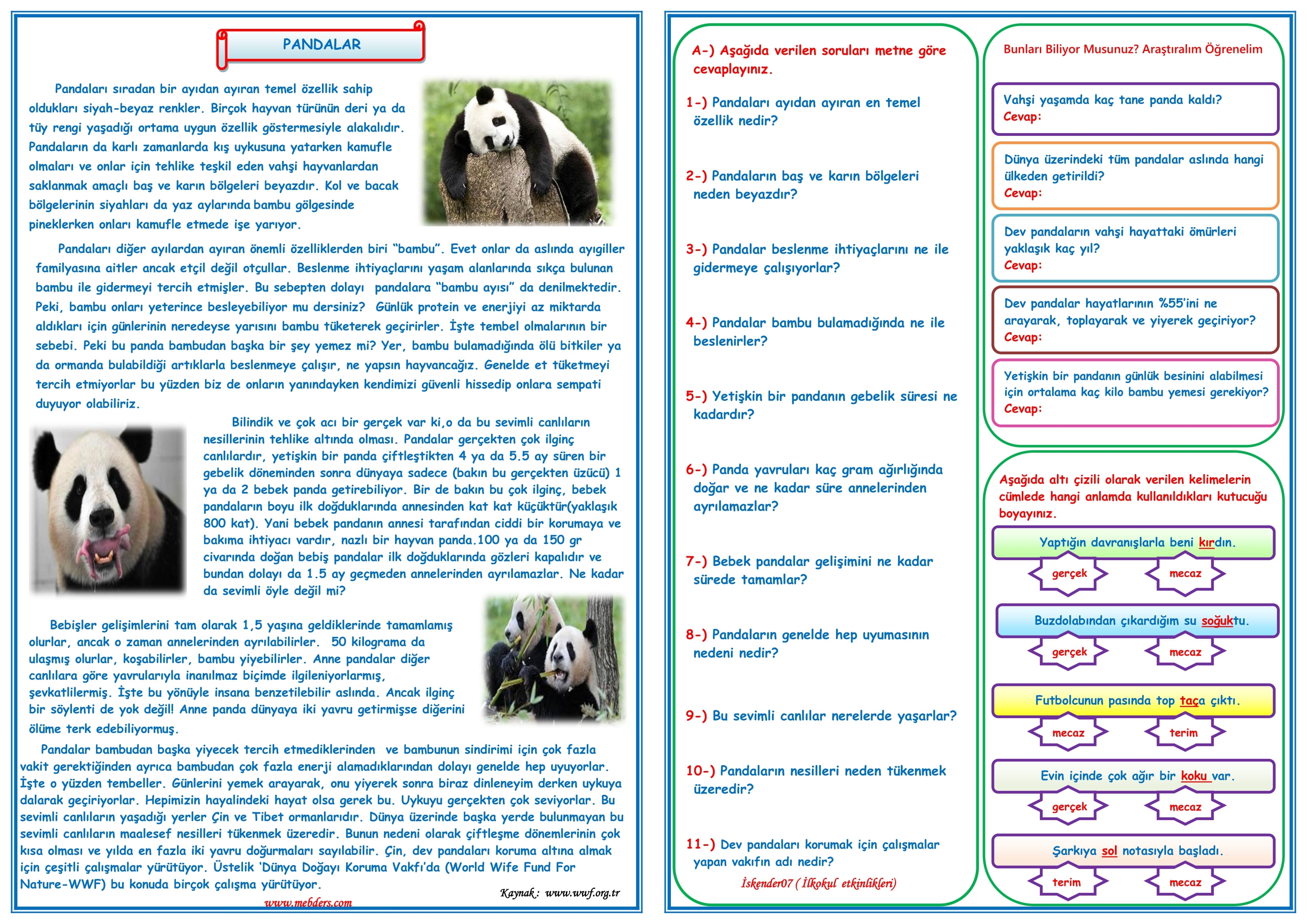 4.Sınıf Türkçe Pandalar Okuma Anlama  ve Metin Çalışması  3