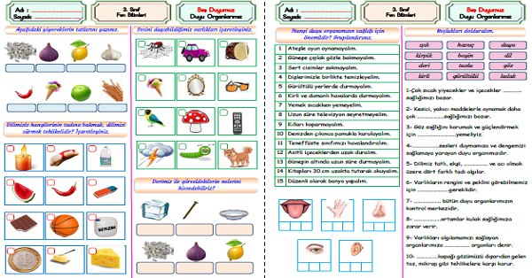 3.Sınıf Fen Bilimleri Beş Duyumuz Etkinlikler (6 Sayfa)