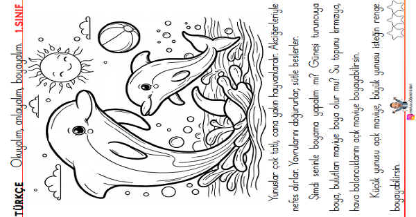 1. Sınıf Türkçe Oku - Anla - Boya -21