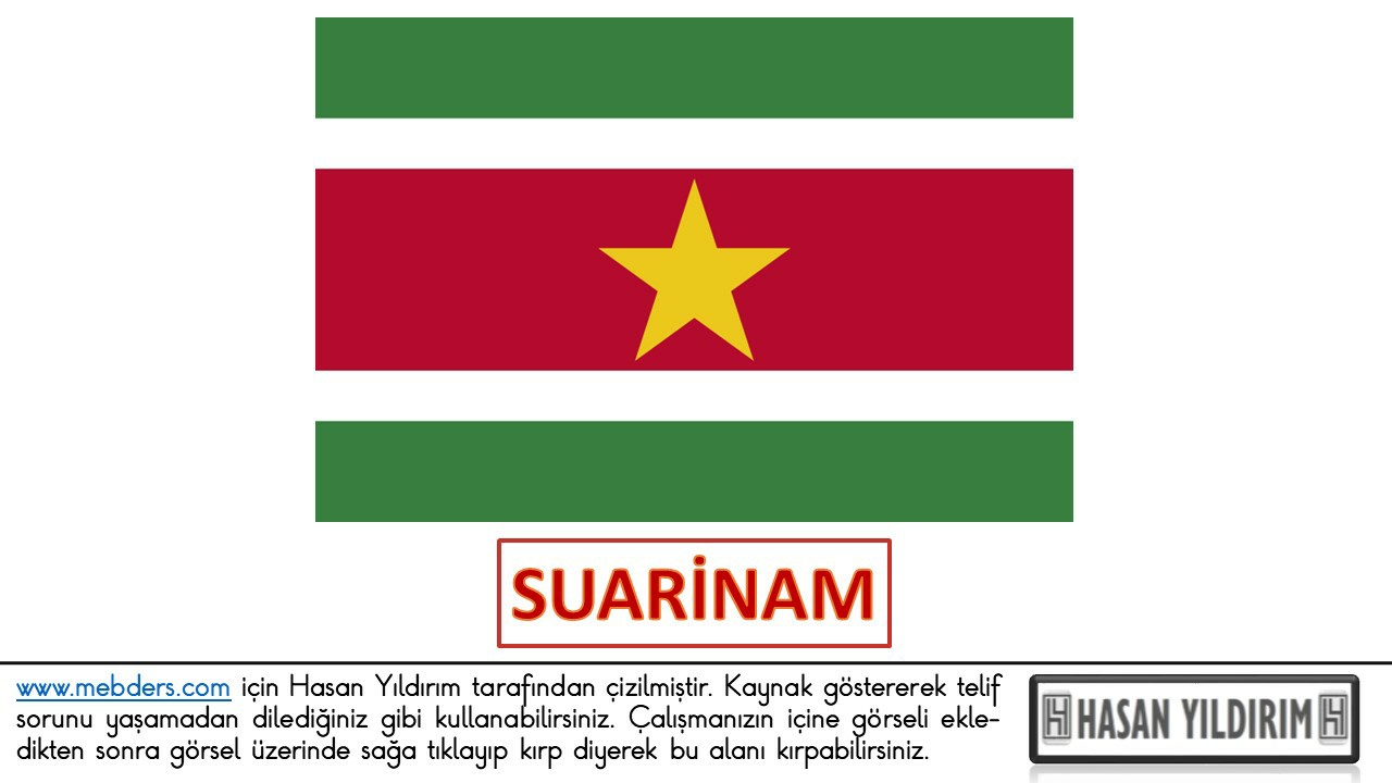 Suarinam Bayrağı PNG