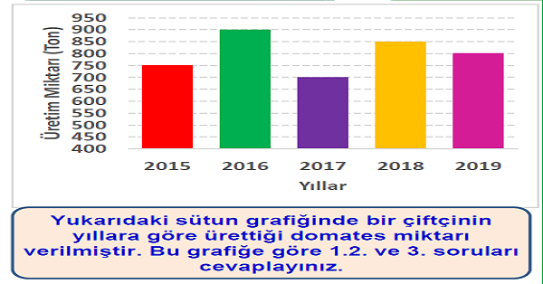 4.Sınıf Matematik Veri Toplama ve Değerlendirme (Sütun Grafiği) Yaprak Test-2