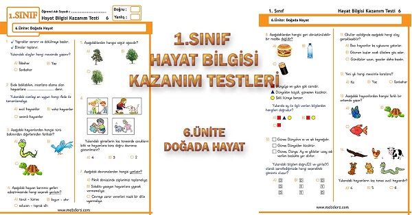 1.Sınıf Hayat Bilgisi Kazanım Testi - 6.Ünite - Doğada Hayat