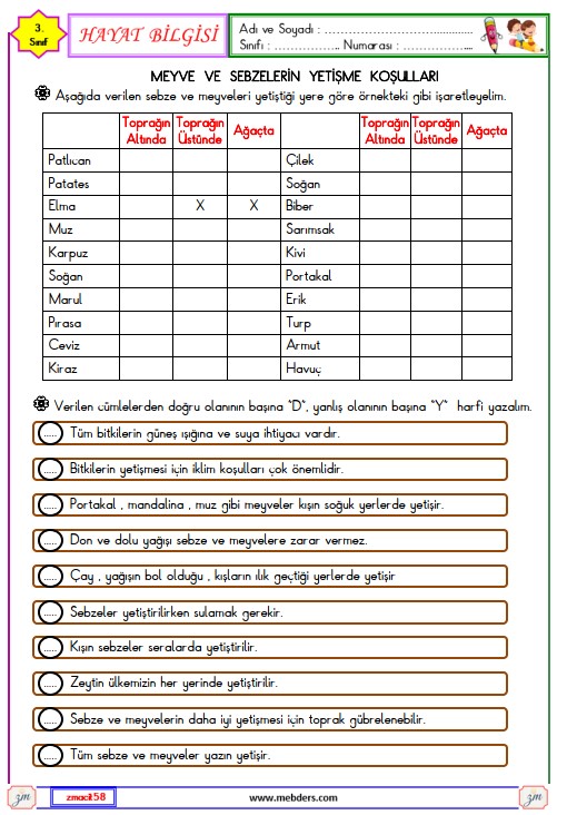 3. Sınıf Hayat Bilgisi Meyve ve Sebzelerin Yetişme Koşulları Ettkinliği