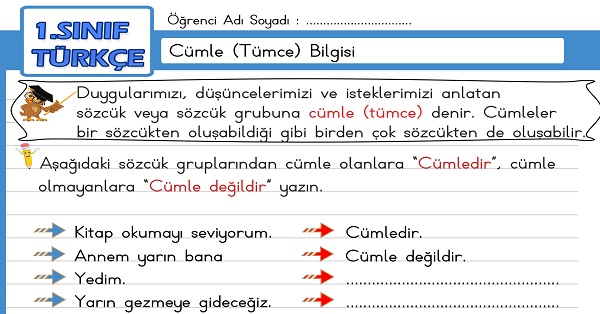 1.Sınıf Türkçe Cümle (Tümce) Bilgisi Etkinliği