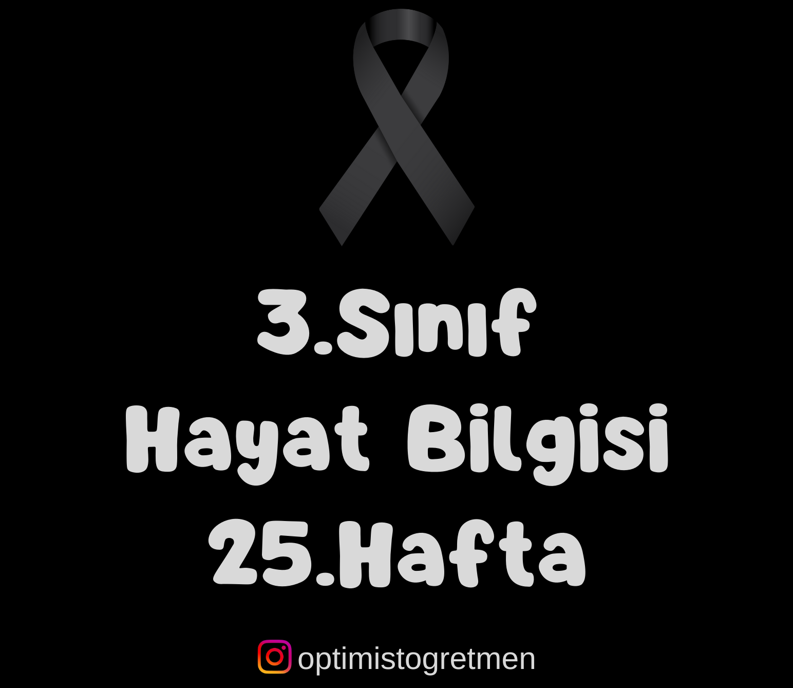 3. Sınıf Hayat Bilgisi Yönetim Birimleri Çalışma Kağıdı