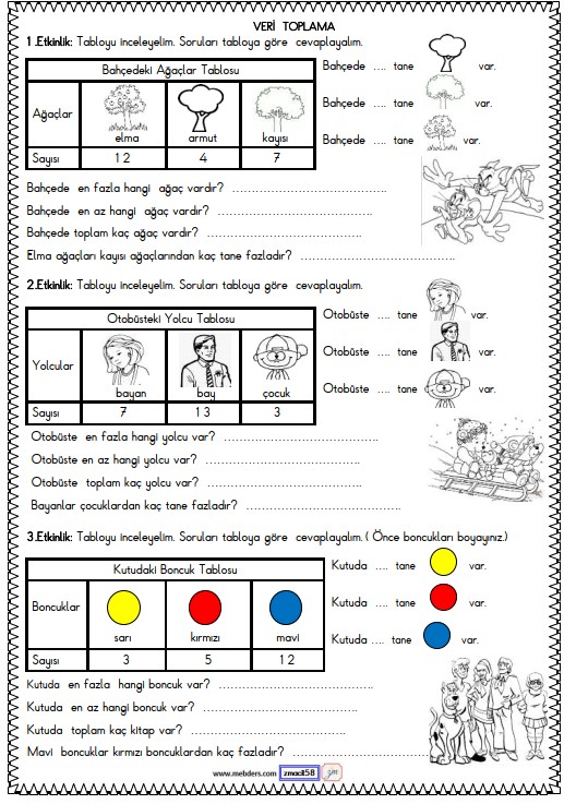 1. Sınıf Matematik Veri Toplama ve Değerlendirme Etkinliği 3