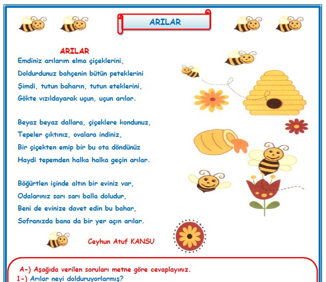 2.Sınıf Türkçe Arılar Okuma Anlama Metin Çalışması