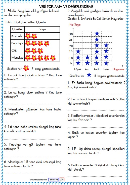 3. Sınıf Matematik Veri ve Tablo Etkinliği 8