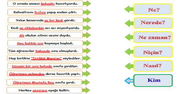 4.Sınıf Türkçe 5N-1K Etkinliği 1