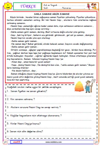 3. Sınıf Türkçe Okuma ve Anlama Metni Etkinliği (Sakla Samanı Gelir Zamanı)