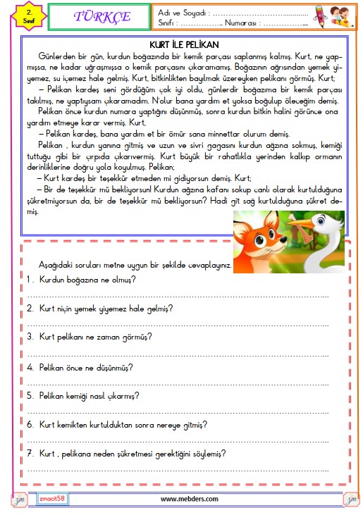2. Sınıf Türkçe Okuma ve anlama Metni Etkinliği (Kurt ile Pelikan)