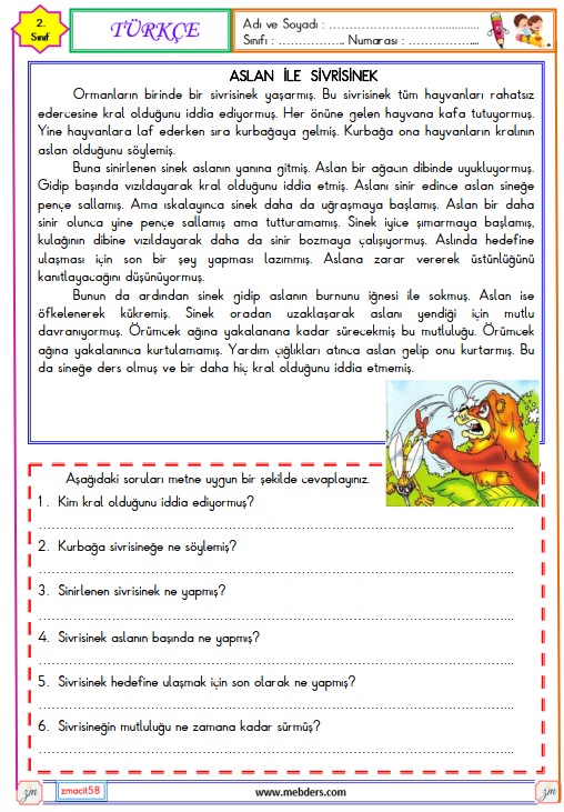 2. Sınıf Türkçe Okuma ve Anlama Metni Etkinliği (Aslan ile Sivrisinek)