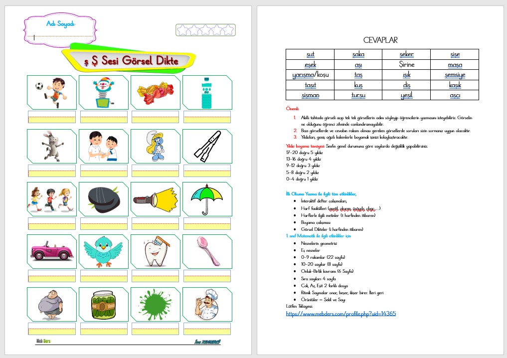 1. Sınıf İlk Okuma Yazma Ş Sesi GÖRSEL DİKTE