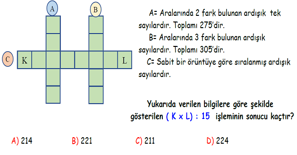 4.Sınıf Matematik Bölme İşlemi Yeni Nesil Sorular